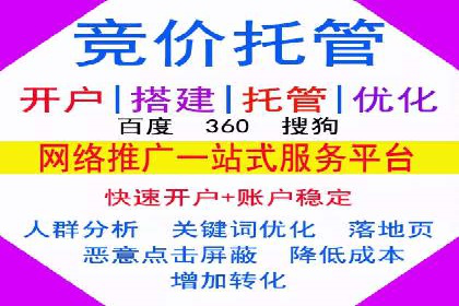 百度推广实战技巧：案例详解